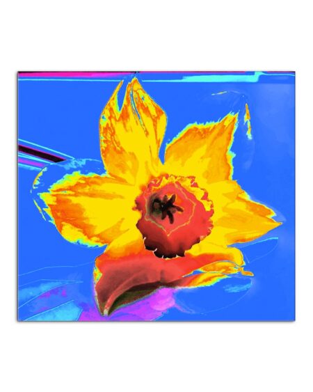 BIANCOSCURO Art Contest Winter Edition